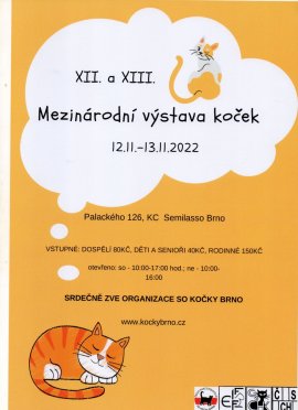 XII. a XIII. Mezinárodní výstava koček