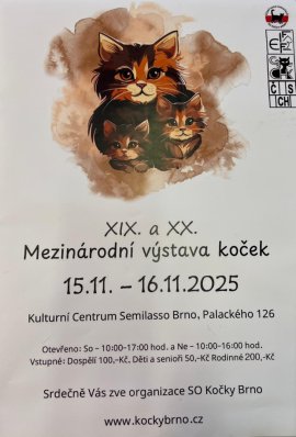 XIX. A XX. MEZINÁRODNÍ VÝSTAVA KOČEK - den druhý
