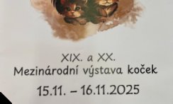 XIX. A XX. MEZINÁRODNÍ VÝSTAVA KOČEK - den druhý