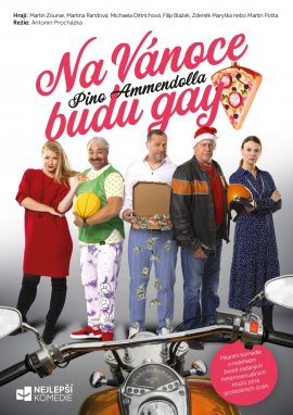 NA VÁNOCE BUDU GAY